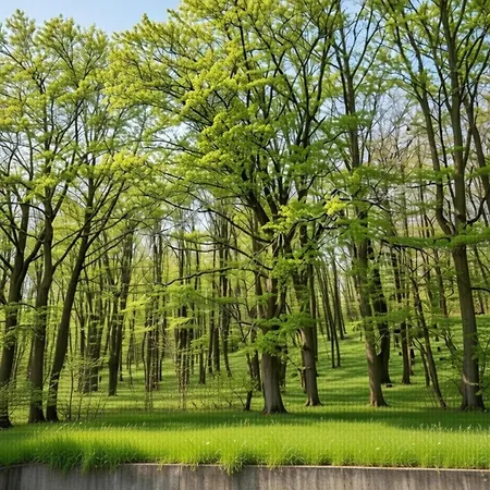 Apartamento Romantic In Hambachtal