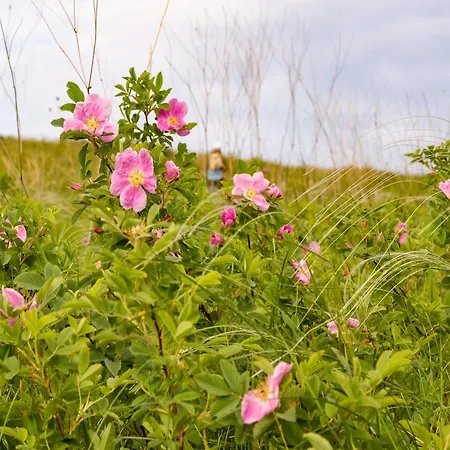Romantic In Hambachtal * Oberhambach