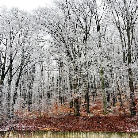 Apartment Romantic In Hambachtal