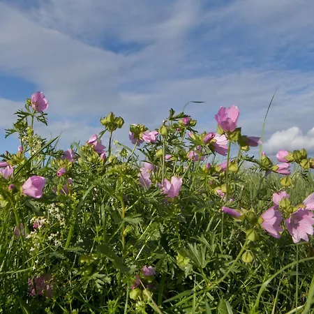 Romantic In Hambachtal *