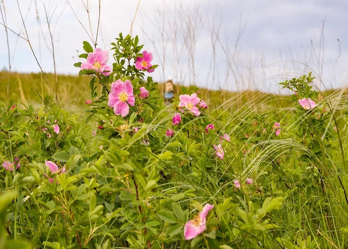 Romantic In Hambachtal * Oberhambach