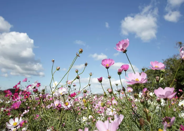 Romantic In Hambachtal * Oberhambach
