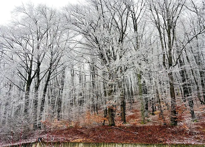 Apartamento Romantic In Hambachtal